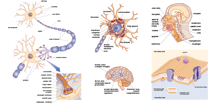 Miscellaneous diagrams